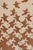 Mid-Century Modern Rug & Kilim’s “Sky and Water Ii” m.c. Escher-Style Tapestry With Pictorials For Sale - Image 3 of 7