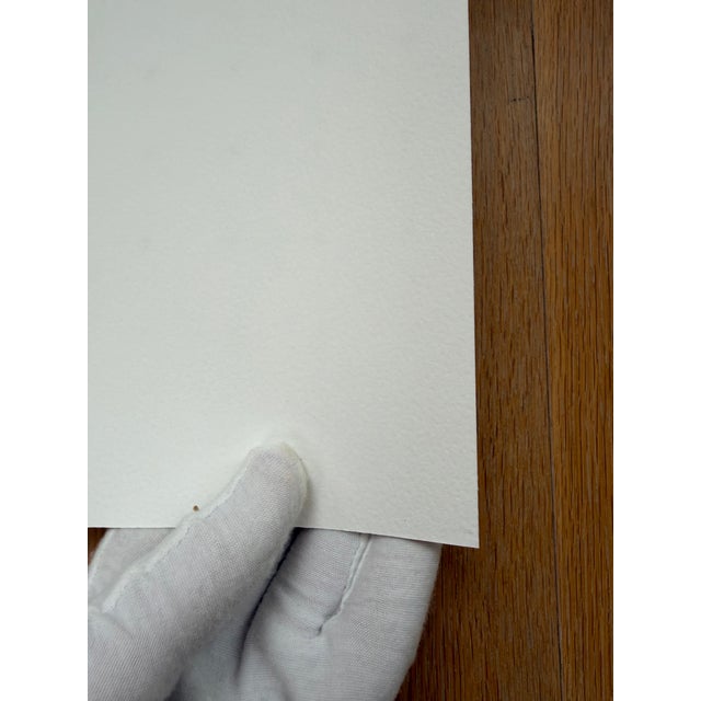 Early 21st Century Anne Montiel, Forms, Print on Paper For Sale - Image 5 of 12