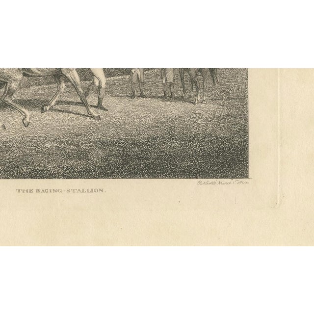 Early 19th Century Samuel Howitt, The Racing Stallion, 1800, Engraving For Sale - Image 5 of 9