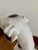 Vintage Chalkware Life Size Dalmatian Statue For Sale - Image 9 of 13