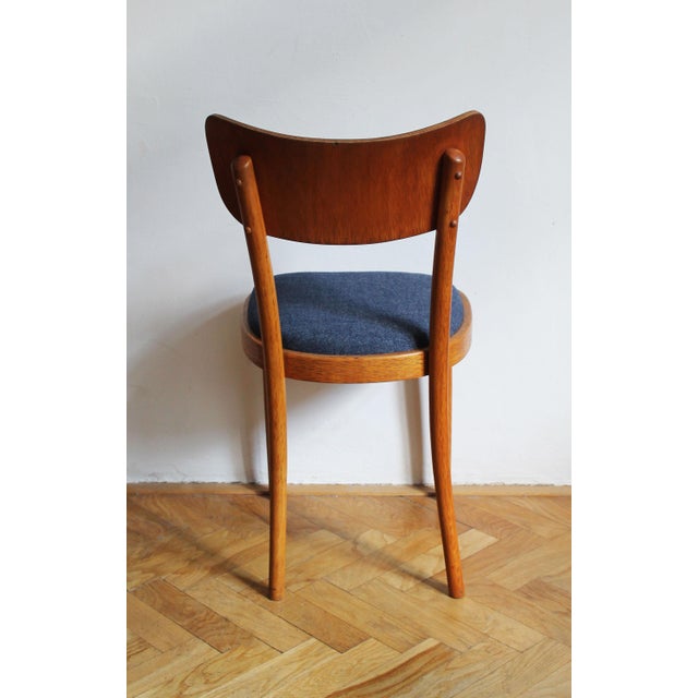 Czech Beech Dining Chair by Up Rousínov from Up Závody, 1960s For Sale - Image 11 of 17