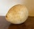 Large Oversized Antique 19th Century Italian Grand Tour Stone Fruit Carving of a Marble Lemon For Sale - Image 4 of 12