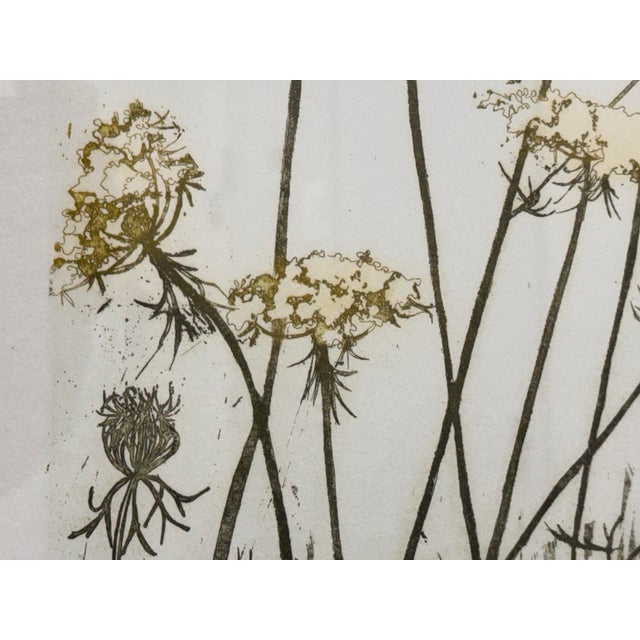 Elaine R. Simel “Wild Lace” Signed Limited Edition Etching 23/250 For Sale In San Francisco - Image 6 of 12