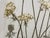 Elaine R. Simel “Wild Lace” Signed Limited Edition Etching 23/250 For Sale In San Francisco - Image 6 of 12