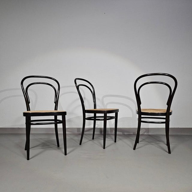 Thonet Model 214 and 79 Cafe Chairs with Cane Seats by Michael Thonet, Set of 3 For Sale - Image 4 of 18