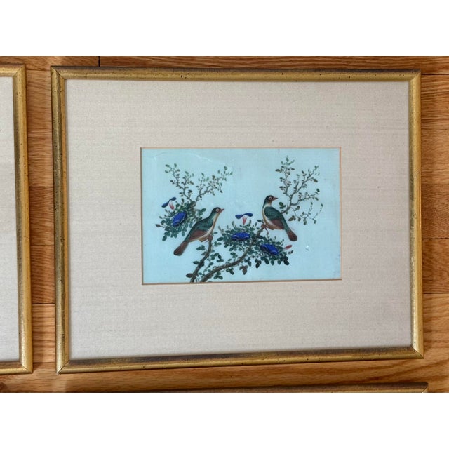 19th Century Antique Chinese Export Gouache Bird Paintings on Pith, Set of 6 For Sale - Image 5 of 12