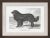 Contemporary Cassell Dogs; Newfoundland, Framed Artwork For Sale - Image 3 of 3