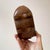 Wood Vintage Wooden Pig Stash Box For Sale - Image 7 of 8