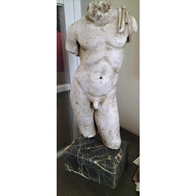 Greek Thassos and Black Imperial Marble Male Torso, 18th Century For Sale - Image 5 of 6