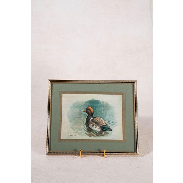 Set of 3 Signed Duck Prints With Green Mats For Sale In Charleston - Image 6 of 9