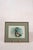 Set of 3 Signed Duck Prints With Green Mats For Sale In Charleston - Image 6 of 9