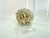 Vintage Mid Century Lucite Bookends With Natural Coral Specimens, Coastal Modern Sculptural Pair For Sale - Image 4 of 9