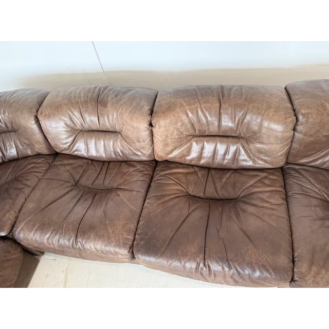 Animal Skin DS 14 Modular Chair Sofa from de Sede, Set of 7 For Sale - Image 7 of 18
