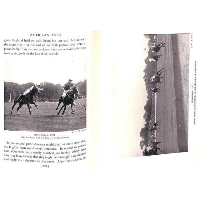 American Polo For Sale - Image 10 of 11