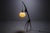 Praying Mantis Floor Lamp from Rispal, France, 1950s For Sale - Image 12 of 17