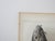 Rustic Mid 19th Century Us Pacifc Railroad Fish Lithograph Book Plate - A Pair For Sale - Image 3 of 5