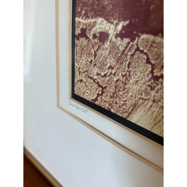 1970s Rob Jaffe “Sunburst” Limited Edition Photograph, 1975 – Signed 11/100 Framed Nature Study For Sale - Image 5 of 8