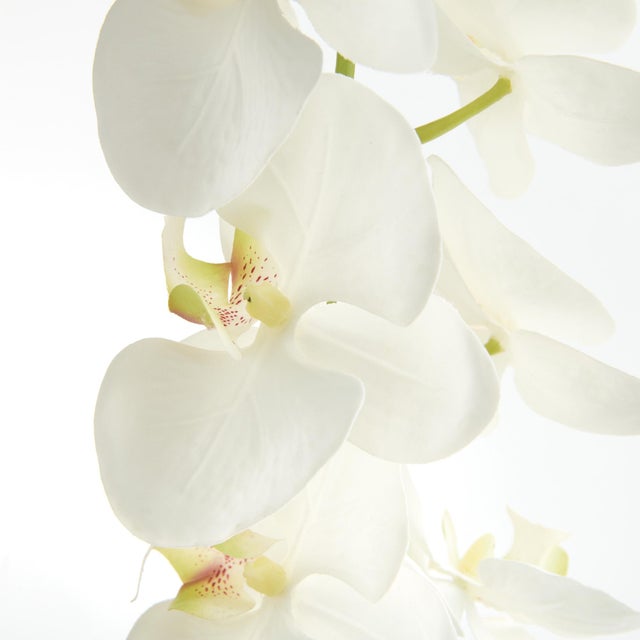 Realism Phalaenopsis Orchid Stems 28" St/4 For Sale - Image 3 of 3