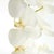 Realism Phalaenopsis Orchid Stems 28" St/4 For Sale - Image 3 of 3
