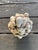 Italian Vintage Mid-Century Italian Creamware Fruit Topiary *Handcrafted in Italy For Sale - Image 3 of 9