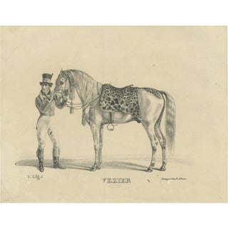 G. Ebner, Arabian Horse Vezier with Groom, Stuttgart 1846, Paper Lithograph For Sale