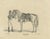 G. Ebner, Arabian Horse Vezier with Groom, Stuttgart 1846, Paper Lithograph For Sale