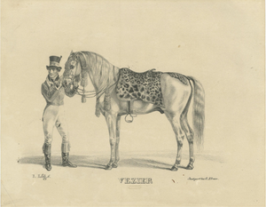 G. Ebner, Arabian Horse Vezier with Groom, Stuttgart 1846, Paper Lithograph