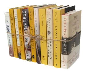 Decorative Books - Goldenrod Book Bundle - 1 Foot of Yellow Books