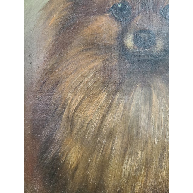 Small Antique 19th Century Oil Painting Portrait of a Pomeranian Dog For Sale In Los Angeles - Image 6 of 14