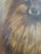 Small Antique 19th Century Oil Painting Portrait of a Pomeranian Dog For Sale In Los Angeles - Image 6 of 14