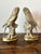 Two solid brass budgie parakeet bookends Display separately or flanking a set of books. Made in the mid-late 20th century....