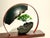2020s Qiankun — Neo-Chuanpai Bonsai Series For Sale - Image 5 of 15