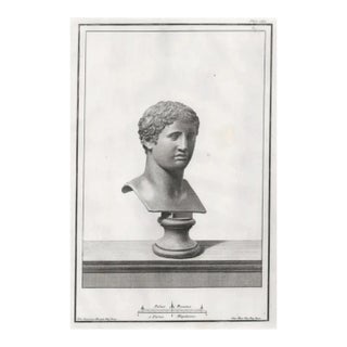 1767 Classical Bust Antique Engraving, Probably Doryphoros For Sale