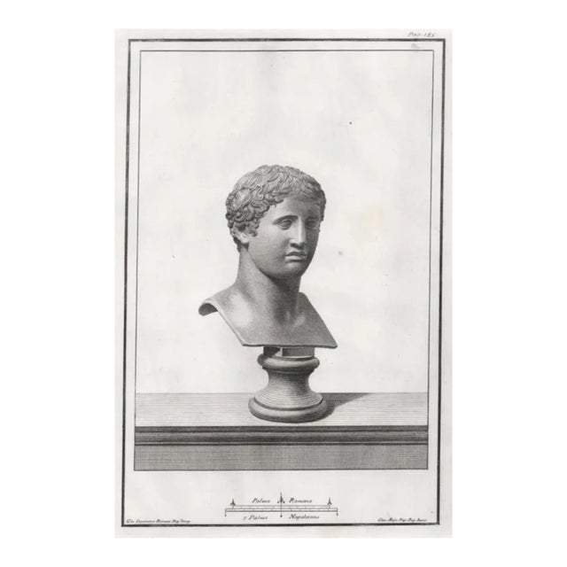 1767 Classical Bust Antique Engraving, Probably Doryphoros For Sale