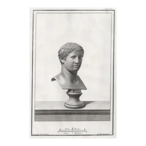1767 Classical Bust Antique Engraving, Probably Doryphoros