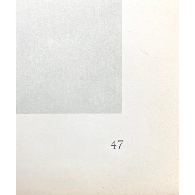 Framed Vintage Botanical Blossfeldt Print - No. 47 For Sale - Image 4 of 5