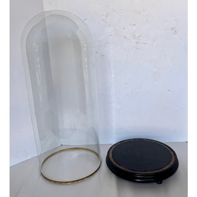 Transparent Early 1900s French Hand Blown Glass Cloche on Wood Footed Base For Sale - Image 8 of 12