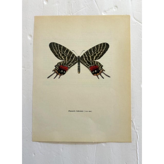 Up for sale is this gorgeous lithograph by F. Prochazka, published in Great Britain in 1965. It is in excellent, gently-...