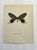 Up for sale is this gorgeous lithograph by F. Prochazka, published in Great Britain in 1965. It is in excellent, gently-...