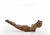Sirio Pellegrini, Modern Gymnast Sculpture, 1960s, Terracotta For Sale - Image 4 of 5