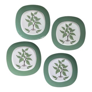 Set of Four (4) MCM Taylor Smith Taylor Dinner Plates in Coffee Tree Pattern For Sale