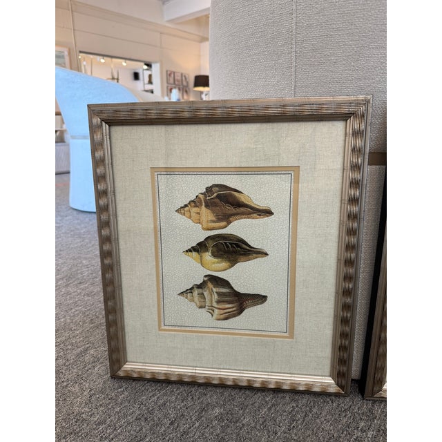 This charming pair of framed sea shell prints captures the beauty of coastal life with a vintage-inspired touch. Each...