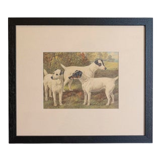Single Print - Cassell, Petter, Galpin & Co Chromolithograph Dog Print in Black Frame For Sale