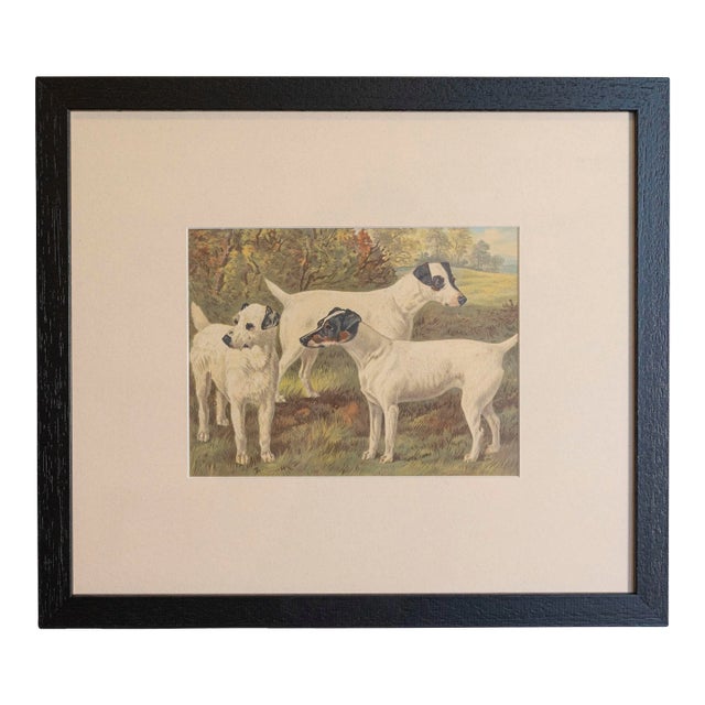 Single Print - Cassell, Petter, Galpin & Co Chromolithograph Dog Print in Black Frame For Sale