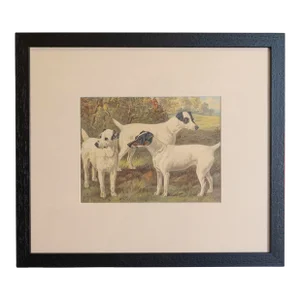 Single Print - Cassell, Petter, Galpin & Co Chromolithograph Dog Print in Black Frame