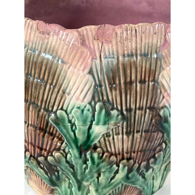 Antique 19th C Etruscan Majolica Pitcher Shell Seaweed Pattern 7" Tall C1890s For Sale In Houston - Image 6 of 7