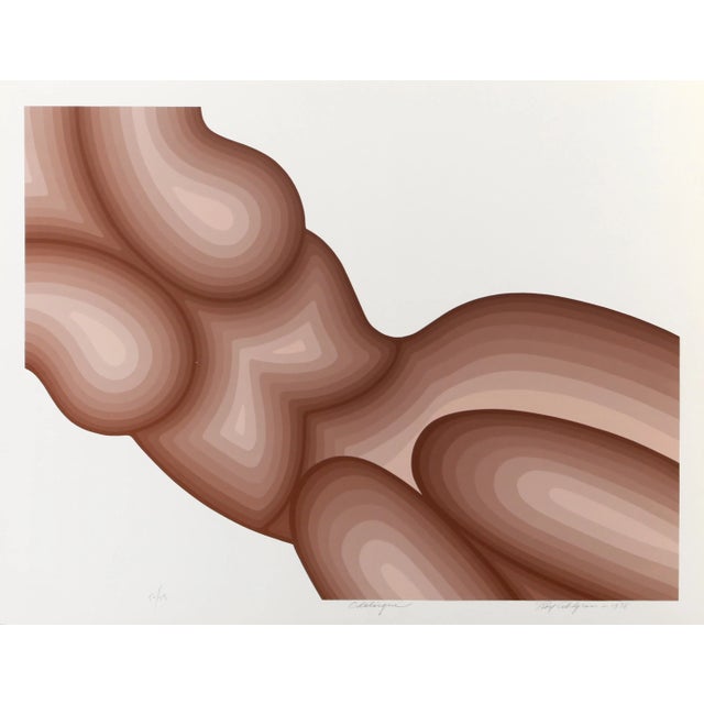 1970s Odalisque, Roy Ahlgren Screen Print For Sale - Image 5 of 5