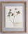 1910s Custom Framed Antique Finnish Herbarium Botanical Specimens (Floating Photo Picture Frame) For Sale - Image 5 of 9