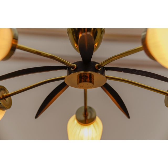 Mid-Century Modern 5-Armed Brass and Glass Sputnik Lamp, 1950s For Sale - Image 12 of 13