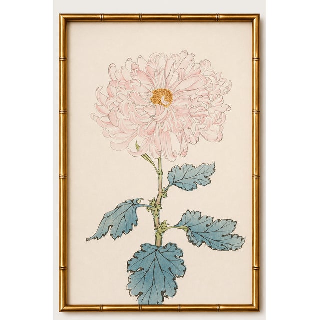 Vintage Blush Mum by Hasegawa, Japanese Botanical Art Print For Sale In Buffalo - Image 6 of 8